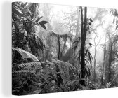 Canvas Schilderij Mistig regenwoud in Costa Rica - zwart wit - 90x60 cm - Wanddecoratie