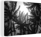 Tableau sur toile La canopée des palmiers et le soleil dans le ciel - noir et blanc - 120x90 cm - Décoration murale