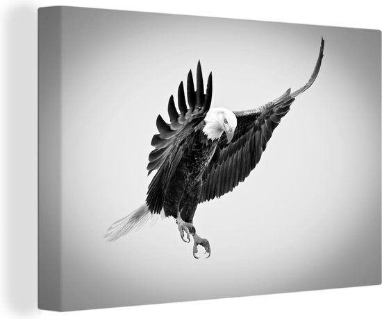 Canvas Schilderij Adelaar in de aanval fotoprint - zwart wit - 60x40 cm - Wanddecoratie