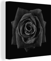 Peintures sur Toile Rose - Pétales de Rose - Zwart - 50x50 cm - Décoration murale