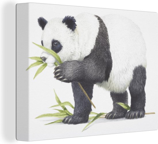Canvas Schilderij Dieren - Panda - Bamboe - 40x30 cm - Wanddecoratie