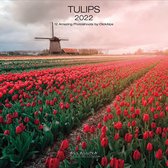 Allaluna Wandkalender 2022 Tulips 30 X 30 Cm Papier