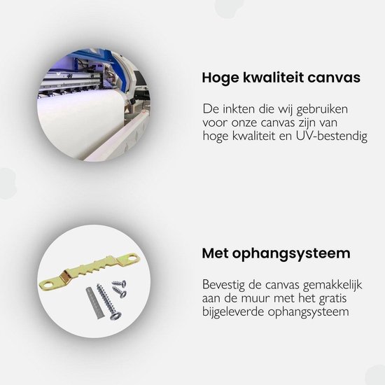 Artaza Toile Peinture Champ De Fleurs Avec Kosmos Pourpre - 30x30 - Klein - Photo Sur Toile - Impression Sur Toile