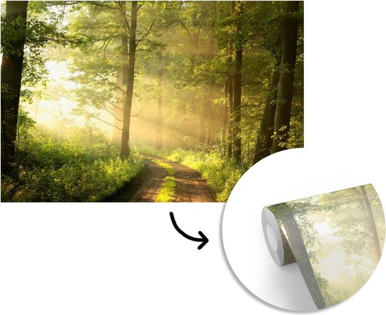 Papier peint - Papier peint photo Forêt - Soleil - Arbres - Largeur 420 cm x hauteur 280 cm
