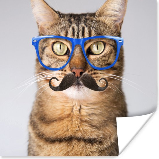 Cyperse kat met een blauwe bril en hipster snor poster 80x60 cm - Foto print op Poster (wanddecoratie woonkamer / slaapkamer)