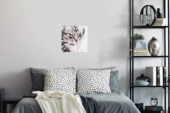 Stickers muraux - Film autocollant - Chats - Yeux - Macro - 40x30 cm - Film adhésif - Stickers muraux Chambre d'enfants - Papier peint autocollant