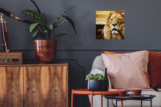 Affiche Lions - Profil - Coucher de soleil - 30x30 cm