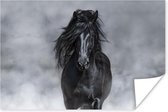 Poster Paard - Zwart - Rook - 60x40 cm
