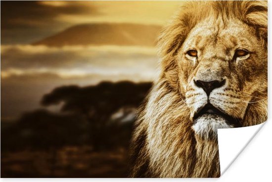Poster Wild dier - Zonsondergang - Afrika - 60x40 cm