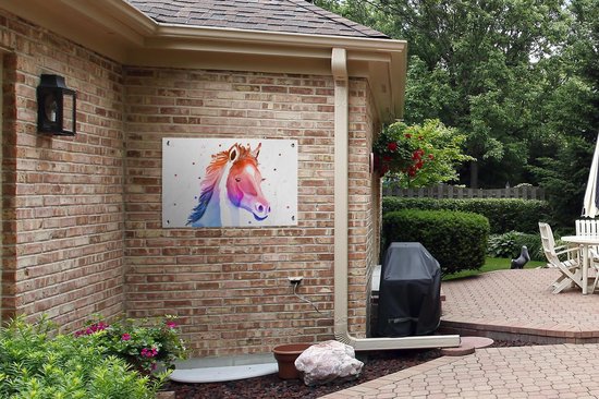 Posters de jardin extérieur Cheval - Rose - Violet - Filles - Enfants - Meiden - 90x60 cm - Toile jardin - Affiche extérieure