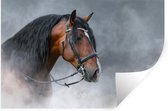 Muurstickers - Sticker Folie - Paard - Rook - Zwart - 60x40 cm - Plakfolie - Muurstickers Kinderkamer - Zelfklevend Behang - Zelfklevend behangpapier - Stickerfolie