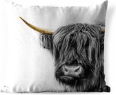 Coussin de jardin - Highlander écossais - Or - Vache - Corne - 40x40 cm - Résistant aux intempéries