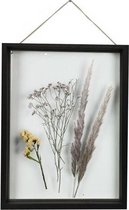 Fotolijst met droogbloemen