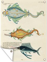 Décoration murale extérieure Poisson - Art - Vintage - 120x160 cm - Toile jardin - Affiche extérieure