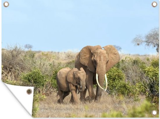 Tuinschilderij Olifant - Baby - Natuur - 80x60 cm - Tuinposter - Tuindoek - Buitenposter