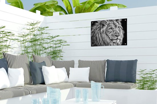 Affiche de jardin Lion en hiver 60x40 cm - Photo sur affiche de jardin / Peintures pour l'extérieur (décoration de jardin)