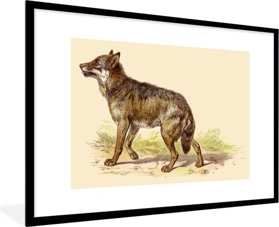 Photo encadrée - Une illustration d'un cadre photo loup effrayé noir avec passe-partout blanc grand 90x60 cm - Affiche encadrée (Décoration murale salon / chambre)