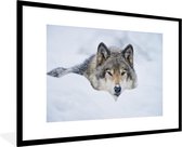 Fotolijst incl. Poster - Wolf - Sneeuw - Vacht - 90x60 cm - Posterlijst