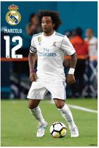 Real Madrid CF Poster - Marcelo - 91 X 61 Cm - Multicolor