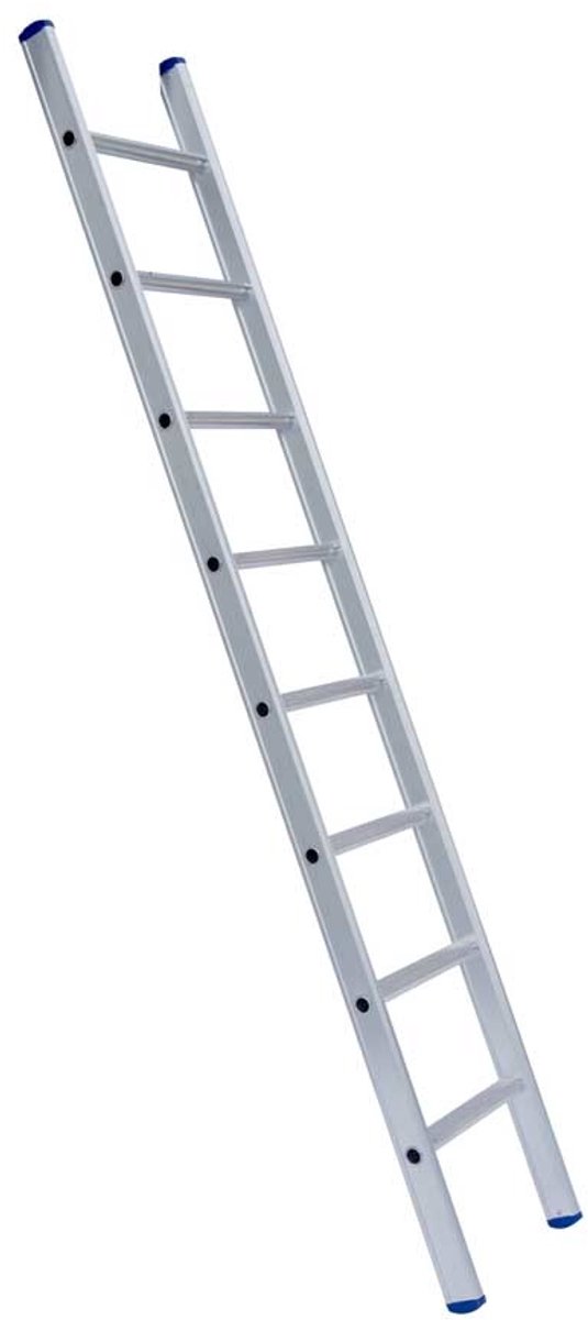 Eurostairs Ladder enkel recht 1x8 sporten