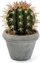 Decoratieve plant Plastic Cactus