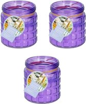 3x stuks citronella kaarsen tegen insecten in glazen pot 12 cm paars- Anti-muggen/insecten