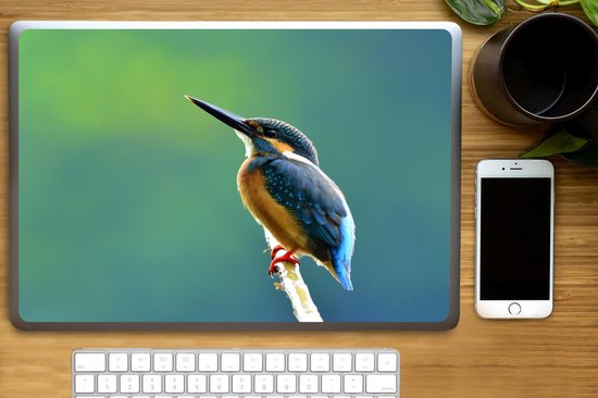 Autocollant pour ordinateur portable - 17,3 pouces - Martin-pêcheur - Branches - Blauw - 40x30cm - Autocollants pour ordinateur portable - Peau pour ordinateur portable - Couverture