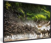 Affiche avec cadre Lion chassant des animaux sauvages dans le parc national du Serengeti - 90x60 cm