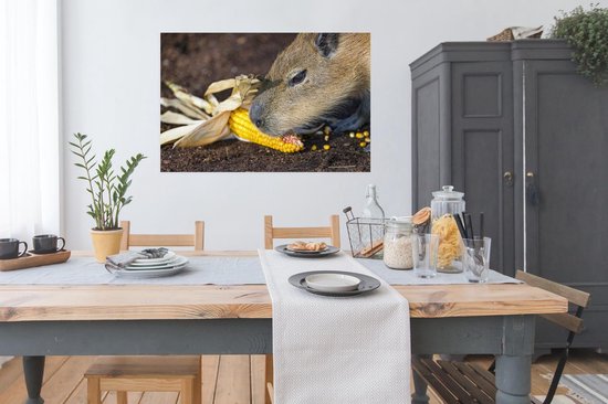 Poster Un gros plan d'un Capybara en train de manger - 120x80 cm