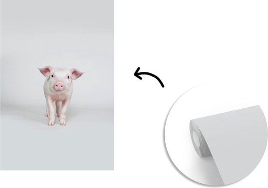 Behang - Fotobehang Varken - Roze - Wit - Breedte 155 cm x hoogte 240 cm