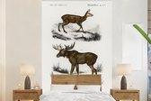 Behang - Fotobehang Vintage - Dier - Eland - Breedte 180 cm x hoogte 280 cm