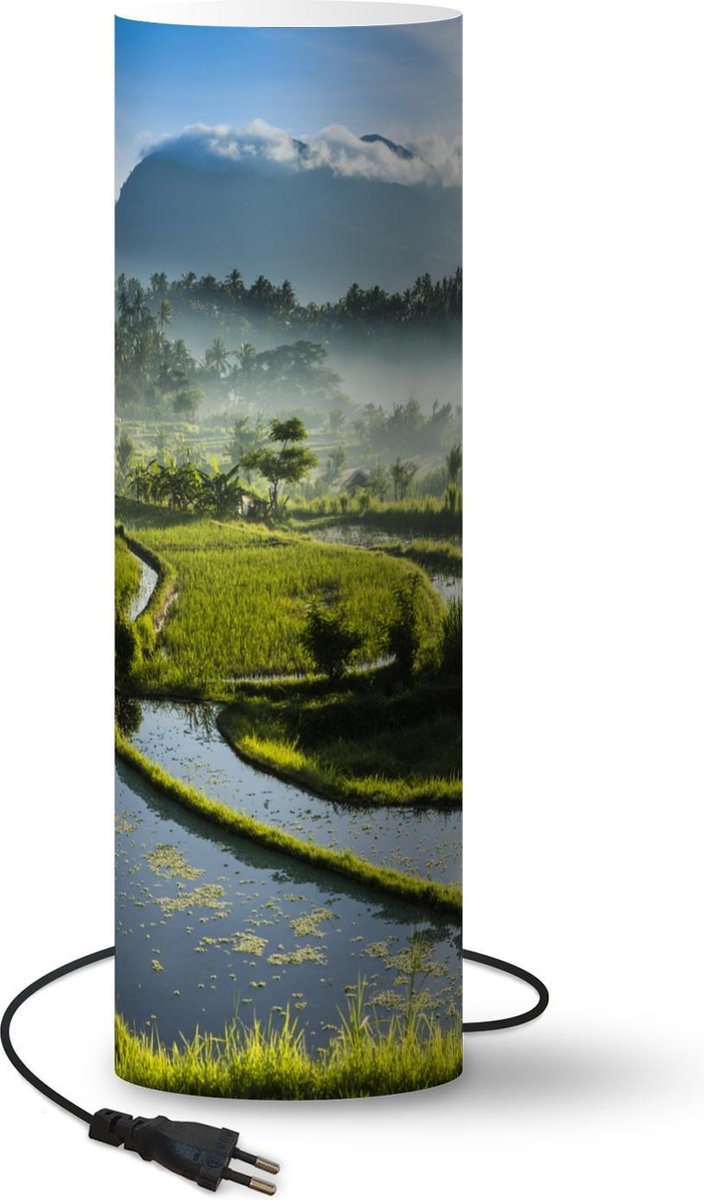 Lamp - Nachtlampje - Tafellamp slaapkamer - Indonesië - Rijst - Mist - 60 cm hoog - Ø19.1 cm - Inclusief LED lamp