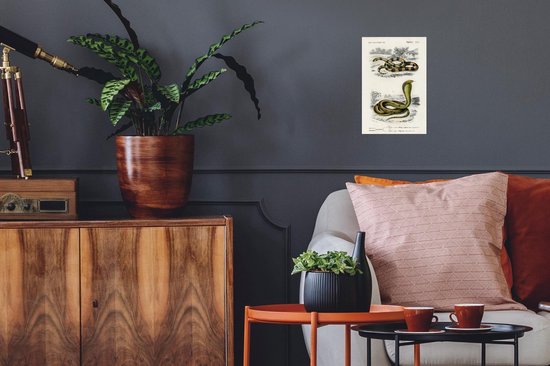 Stickers Stickers muraux - Serpent - Vintage - Reptiles - 20x30 cm - Feuille adhésive