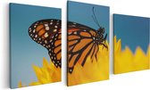 Artaza Toile Peinture Triptyque Papillon Oranje Par Un Tournesol - 120x60 - Photo Sur Toile - Impression Sur Toile