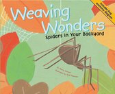 Backyard Bugs - Weaving Wonders