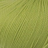 Lanita - Ecologische wol - 100% merino breiwol - 50 gram - voor breinaald 4 tot 4,5mm - 132 Touch of Green