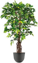 HTT - Kunstplant Ficus in Eggy antraciet H130 cm