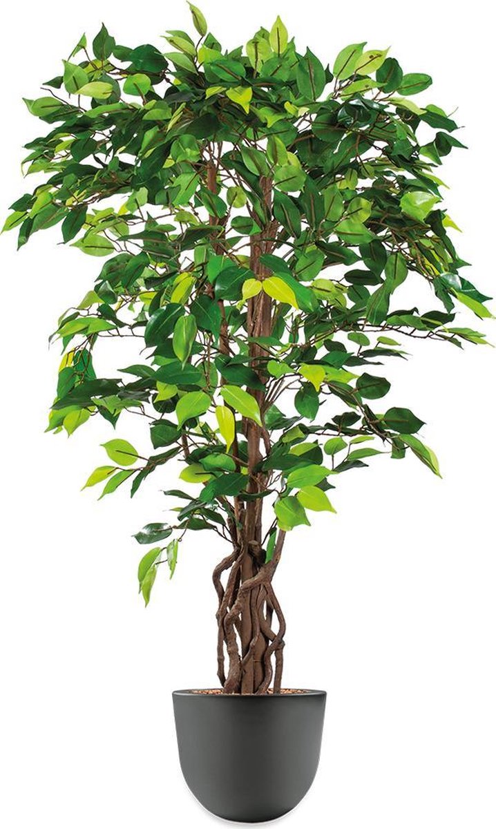 HTT Decorations HTT - Kunstplant Ficus in Eggy antraciet H130 cm