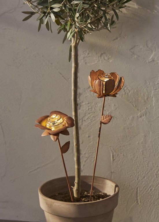 Solar tuinverlichting Bloemen - Oxida - Set van 2