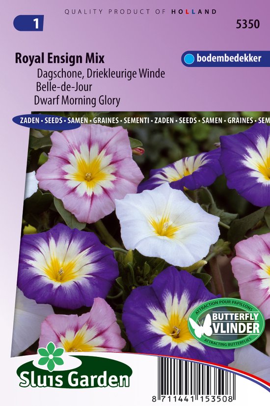 Convolvulus Tricolor zaden Royal Ensign dagschone