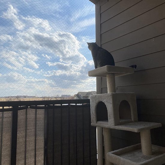 Kattennet - Voor Balkon - Transparant - 8x3 m