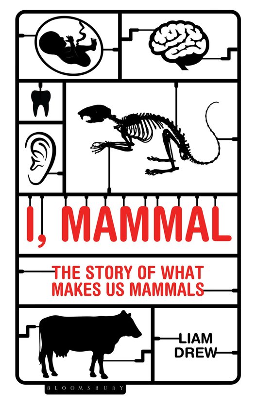 I, Mammal - cover