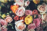 Canvas Schilderij Roses