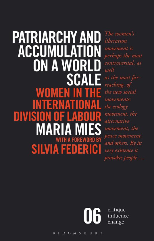 Boekomslag voor "Patriarchy and Accumulation on a World Scale" met de titel en auteursnamen in grote letters.