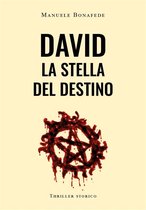 David la Stella del Destino