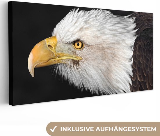 Tableau Toile Aigle - Vogel - Bec - Yeux - 160x80 cm - Décoration murale