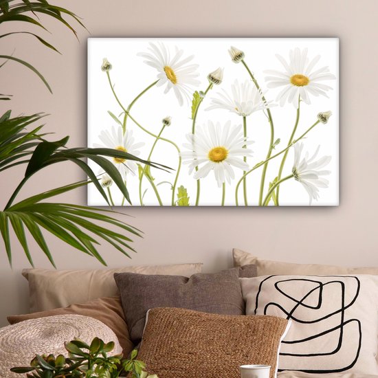 Peinture sur toile - Canvasdoek - Fleurs - Marguerite - Wit - Jaune - Plantes - Décoration murale - 150x100 cm - Photo sur toile