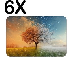 Stevige Placemat - Boom in Alle Seizoenen - Lente - Zomer - Herfst - Winter - Set van 6 Placemats - 45x30 cm - 1 mm dik Polystyreen - Afneembaar
