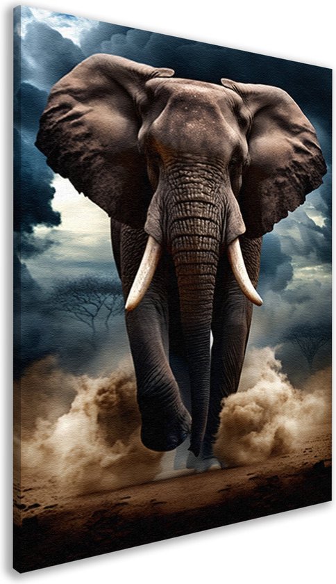 Een olifant loopt recht op de kijker af, met stof dat opstuift bij zijn voeten. Dramatische wolkenlucht op de achtergrond.