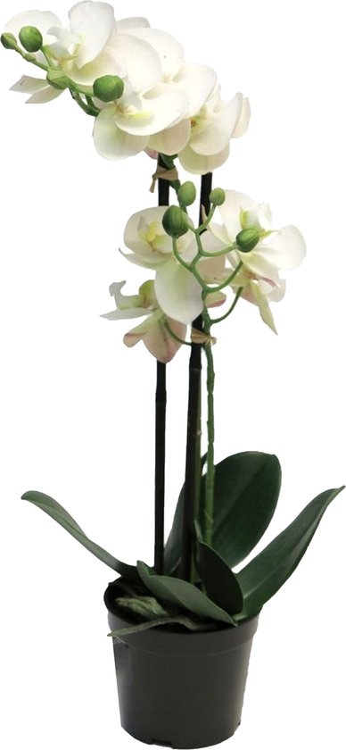 Bellatio Design Orchidee bloemen kunstplant Bora - bloemen/bloemetjes - wit - H55 cm - Phalaenopsis